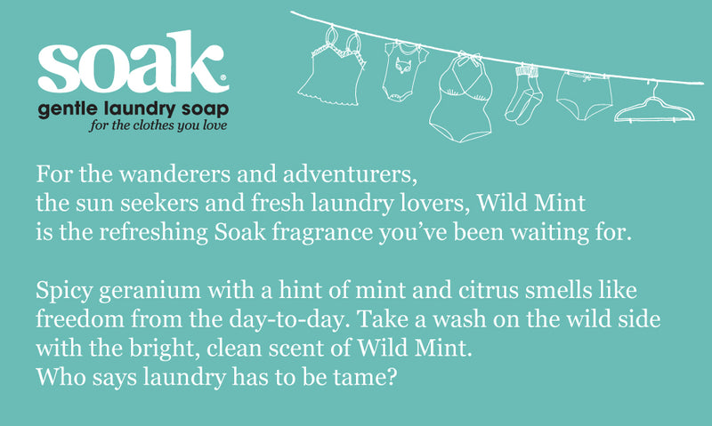 Soak Wash Single-Use Sample Size 48/Pkg-Wild Mint