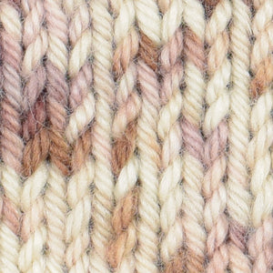 Wonder Woolen - CARDAMON - Fleece Artist Hand Dyed Yarn - Shades of Cream/Beige/Pink