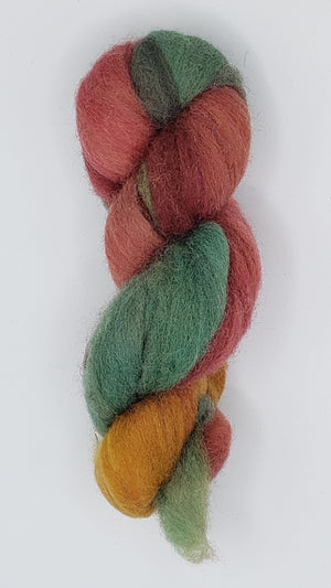 Corriedale Sliver - FALL FAUNA 2 -  1 OZ Hand Dyed Fleece OOAK