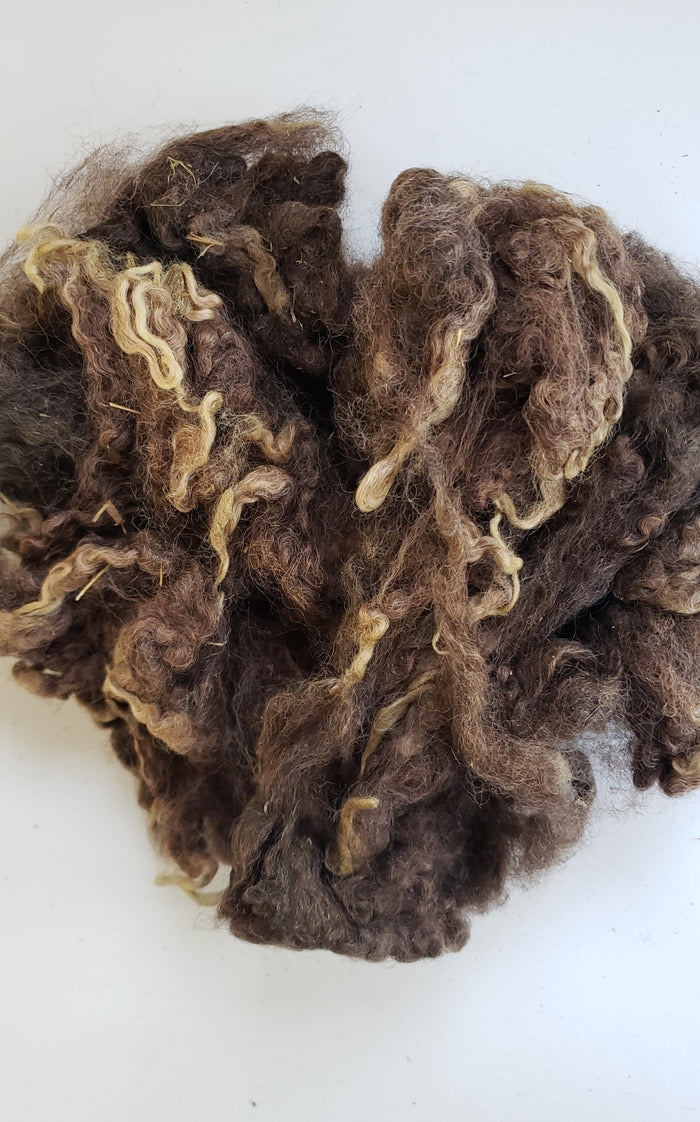 Fleece Locks NATURAL - Shades of Brown -  Sheep Locks OOAK 3.5 oz