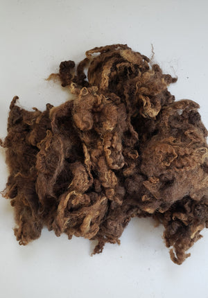 Fleece Locks - NATURAL BROWN - Hand Dyed Textured Sheep Tight Curls - 1 oz (30gr) - Bin1