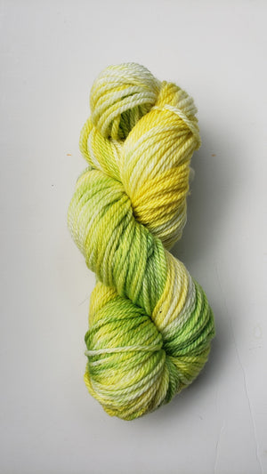 AFW -  LEMONS AND LIMES - Extra Fine Merino - Hand Dyed Worsted/Aran Weight Yarn