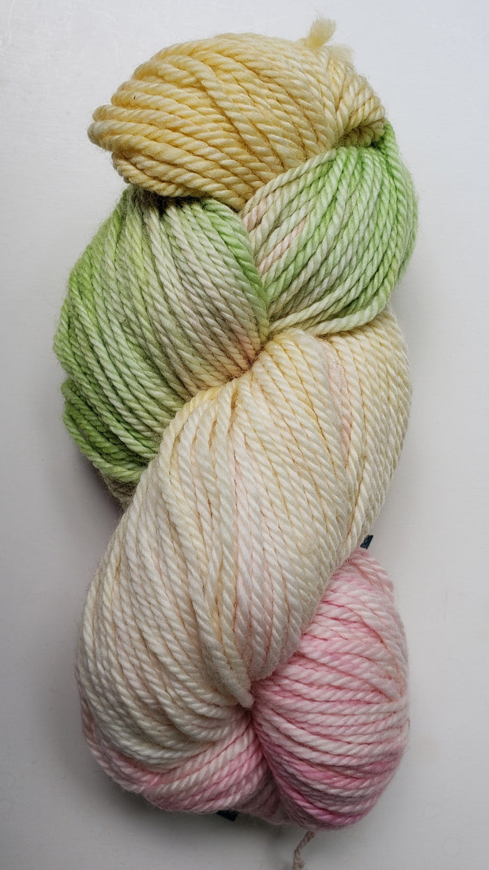 Back Country - APPLE BLOSSOM - Hand Dyed Chunky Yarn 4 ounces/125g