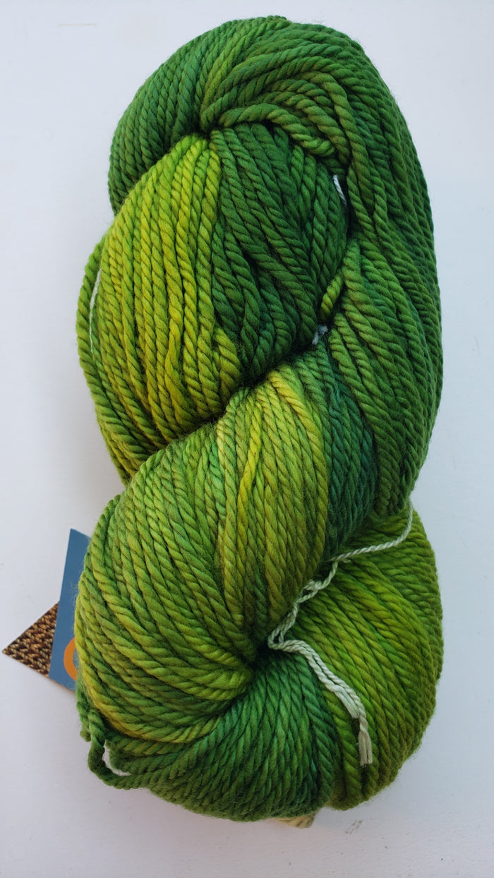 Back Country - BABY FERN - Hand Dyed Chunky Yarn 4 ounces/125g