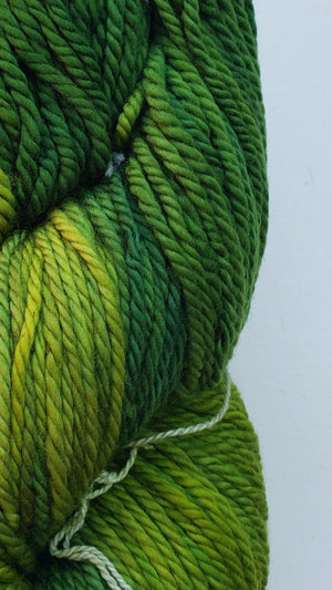 Back Country - BABY FERN - Hand Dyed Chunky Yarn 4 ounces/125g