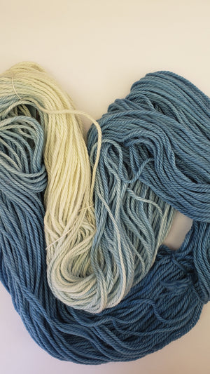 Back Country - WEDGEWOOD - Hand Dyed Chunky Yarn 4 ounces/125g