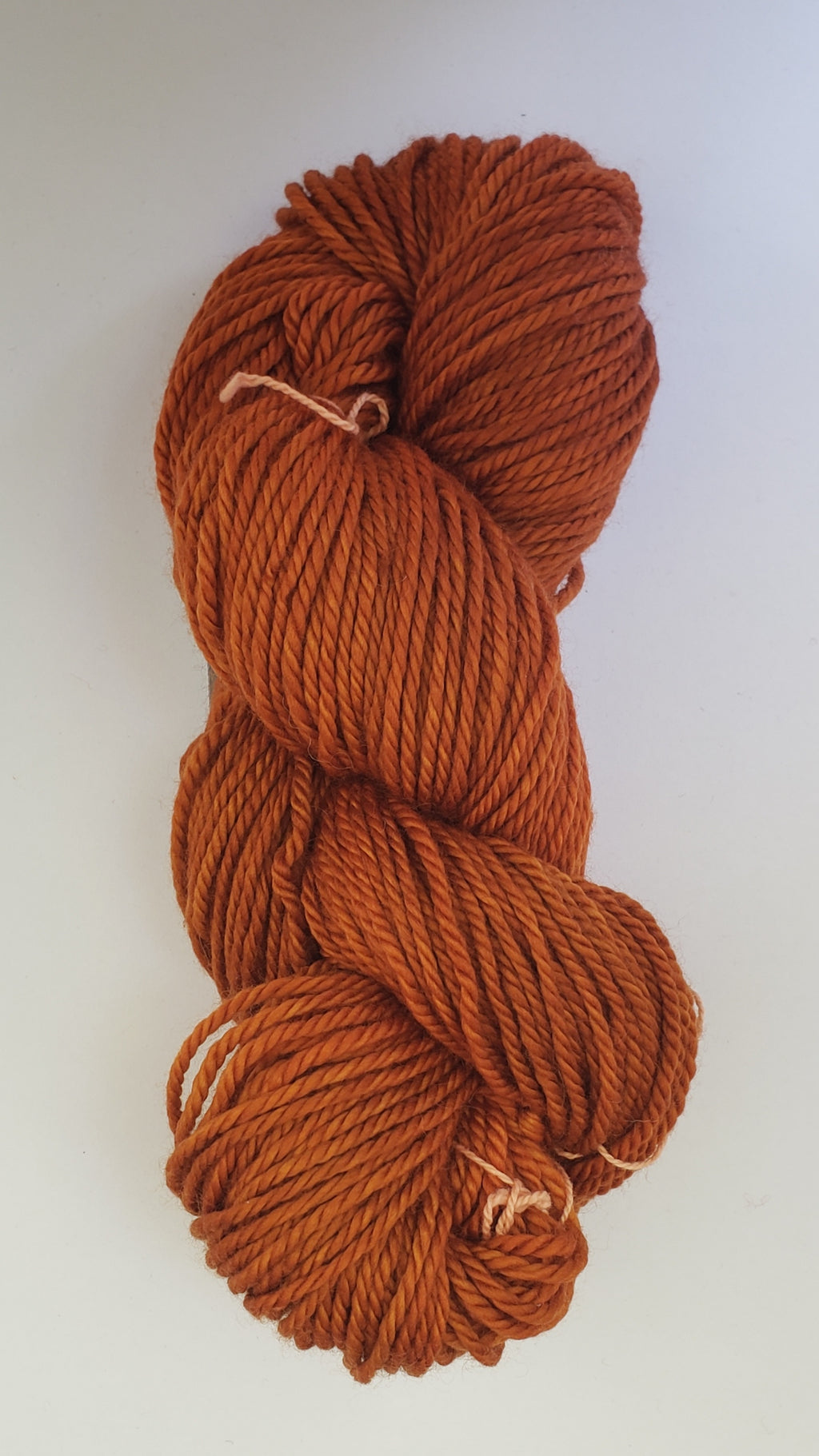 Back Country - PUMPKIN - Hand Dyed Chunky Yarn 4 ounces/125g