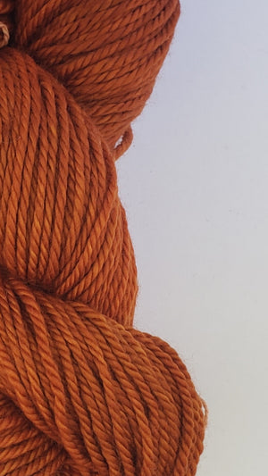 Back Country - PUMPKIN - Hand Dyed Chunky Yarn 4 ounces/125g