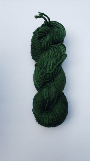 LL- EVERGREEN - Eco-Processed Worsted - Lichen and Lace - Merino