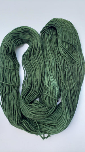 LL- EVERGREEN - Eco-Processed Worsted - Lichen and Lace - Merino