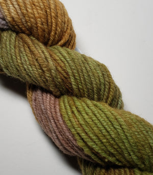 Wonder Woolen - BOREAL -  Fleece Artist Hand Dyed Yarn - Shades of Green/Brown