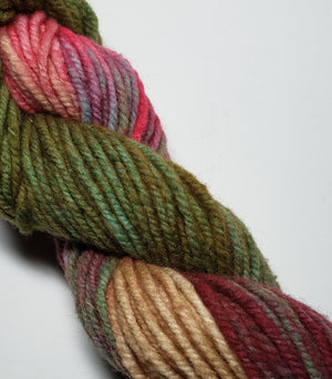 Wonder Woolen - FAUNA - Fleece Artist Hand Dyed Yarn - Shades of Green/Beige/Red