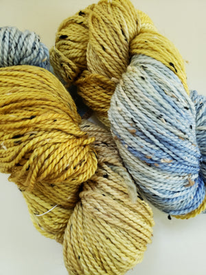 Bramble Tweedy - GRASSLANDS -  Worsted Hand Dyed Yarn- Fleece Artist
