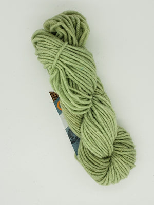 Wonder Woolen - LICHEN - Fleece Artist Hand Dyed Yarn - Light Green