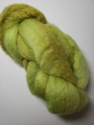 Corriedale Sliver - MOSS - Hand Dyed Fleece - Shades of Light Green
