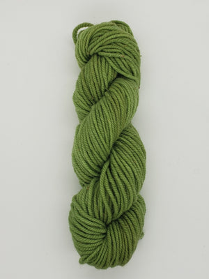Wonder Woolen - MOSS - Fleece Artist Hand Dyed Yarn - Shades of Green