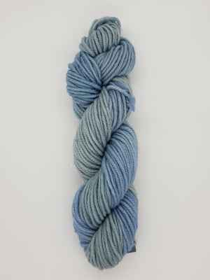 Wonder Woolen - SALT SPRAY - Fleece Artist Hand Dyed Yarn - Shades of Blue