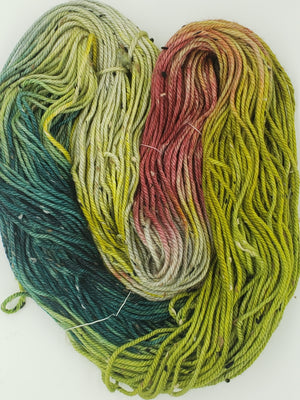 Thicket Tweedy - SPRING - Aran Hand Dyed Yarn - Gwaii Haanas