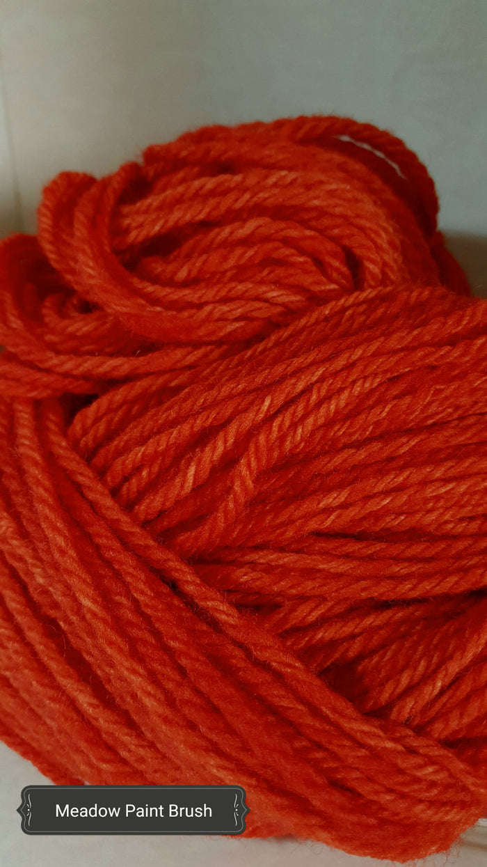 Meadow Paintbrush - Hand Dyed Aran/Worsted Yarn for Rug Hooking